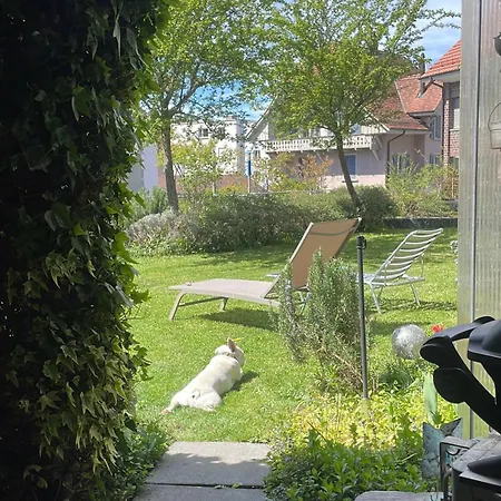 Zimmer Mit Privatem Badezimmer In Guter Lage Berno