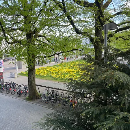 Mit Privatem Badezimmer In Guter Lage *